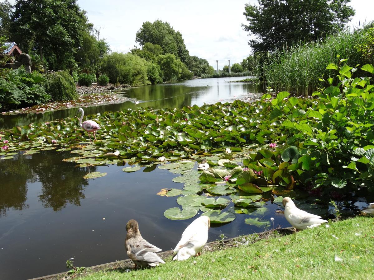 Paradijs Eiland Hillegom Dış mekan fotoğraf